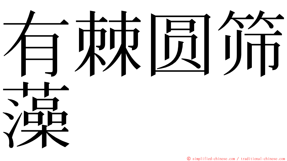 有棘圆筛藻 ming font