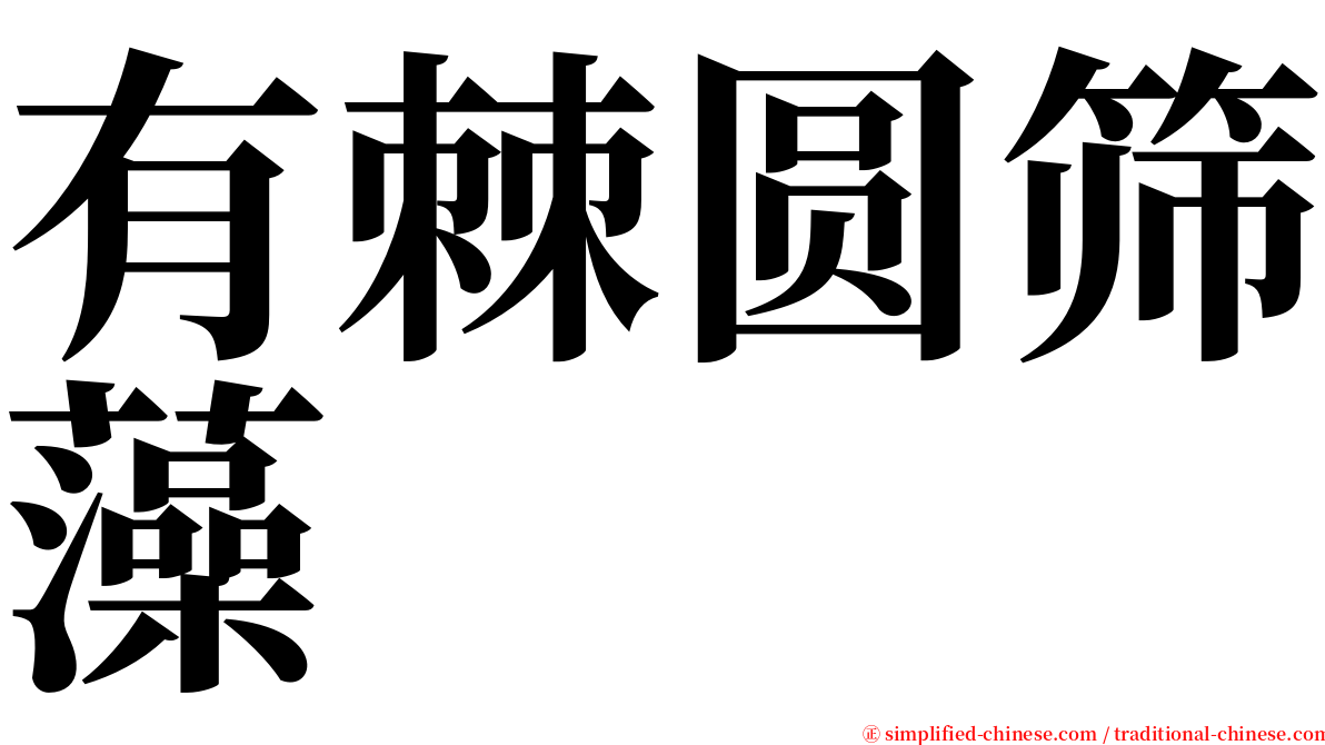 有棘圆筛藻 serif font