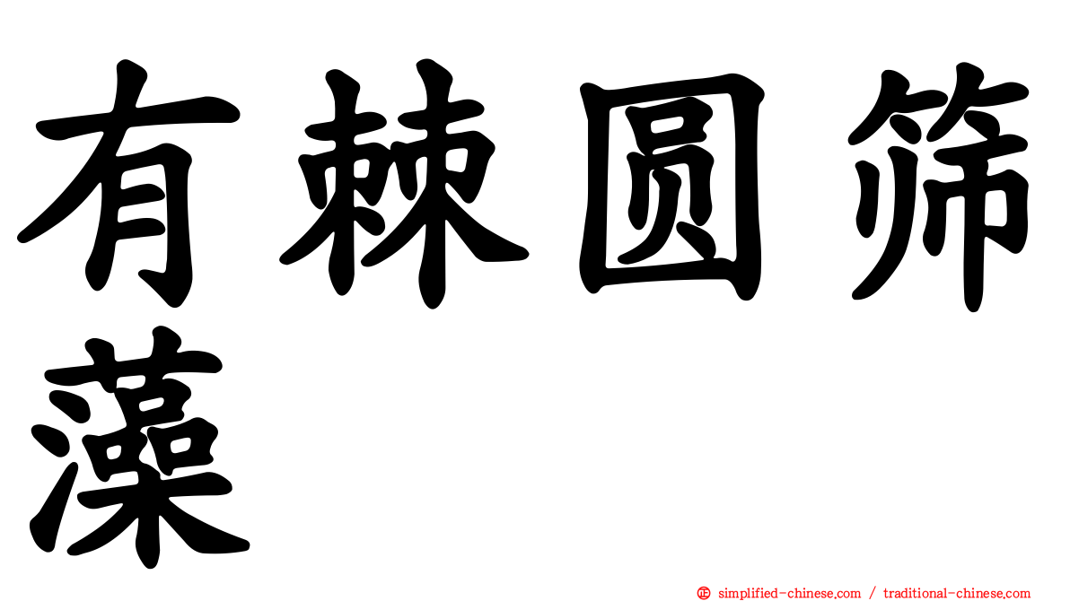 有棘圆筛藻