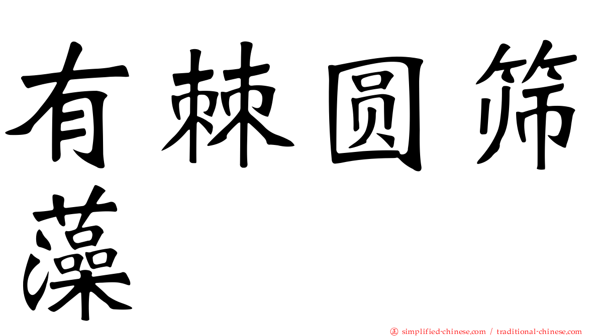 有棘圆筛藻