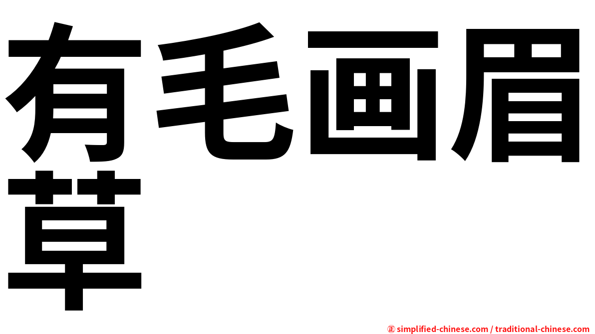有毛画眉草