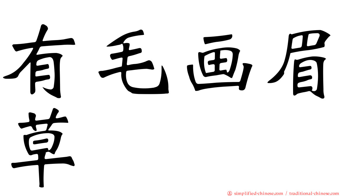 有毛画眉草