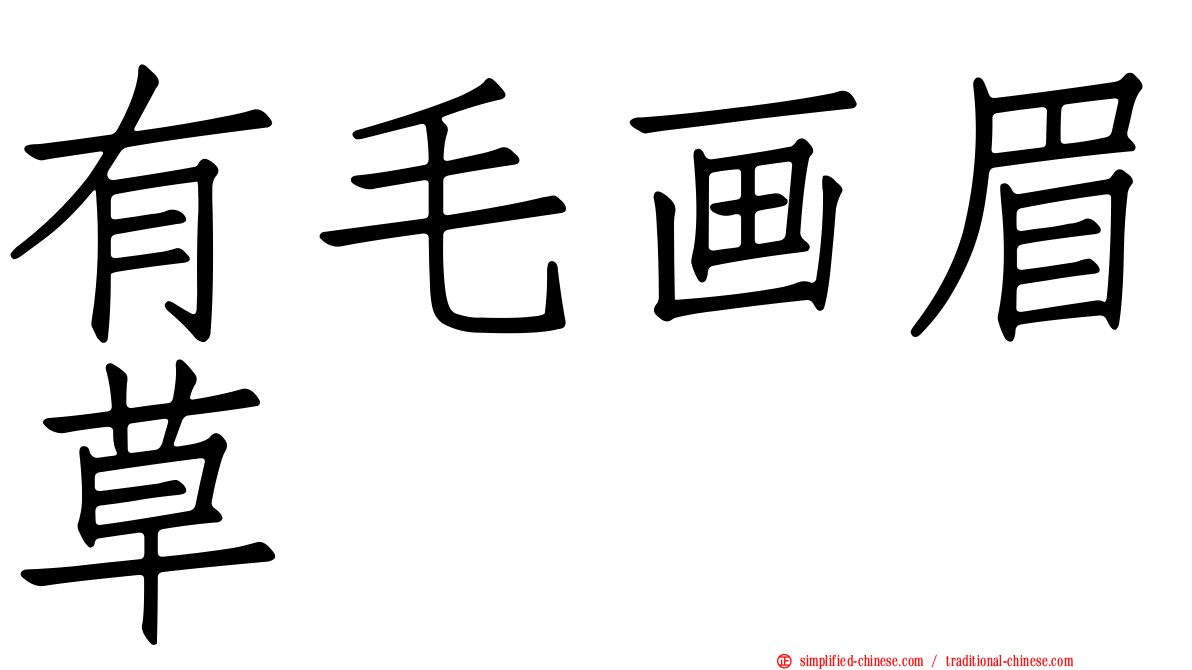 有毛画眉草