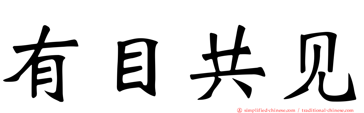 有目共见