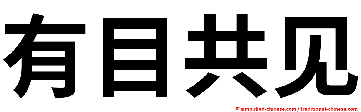有目共见