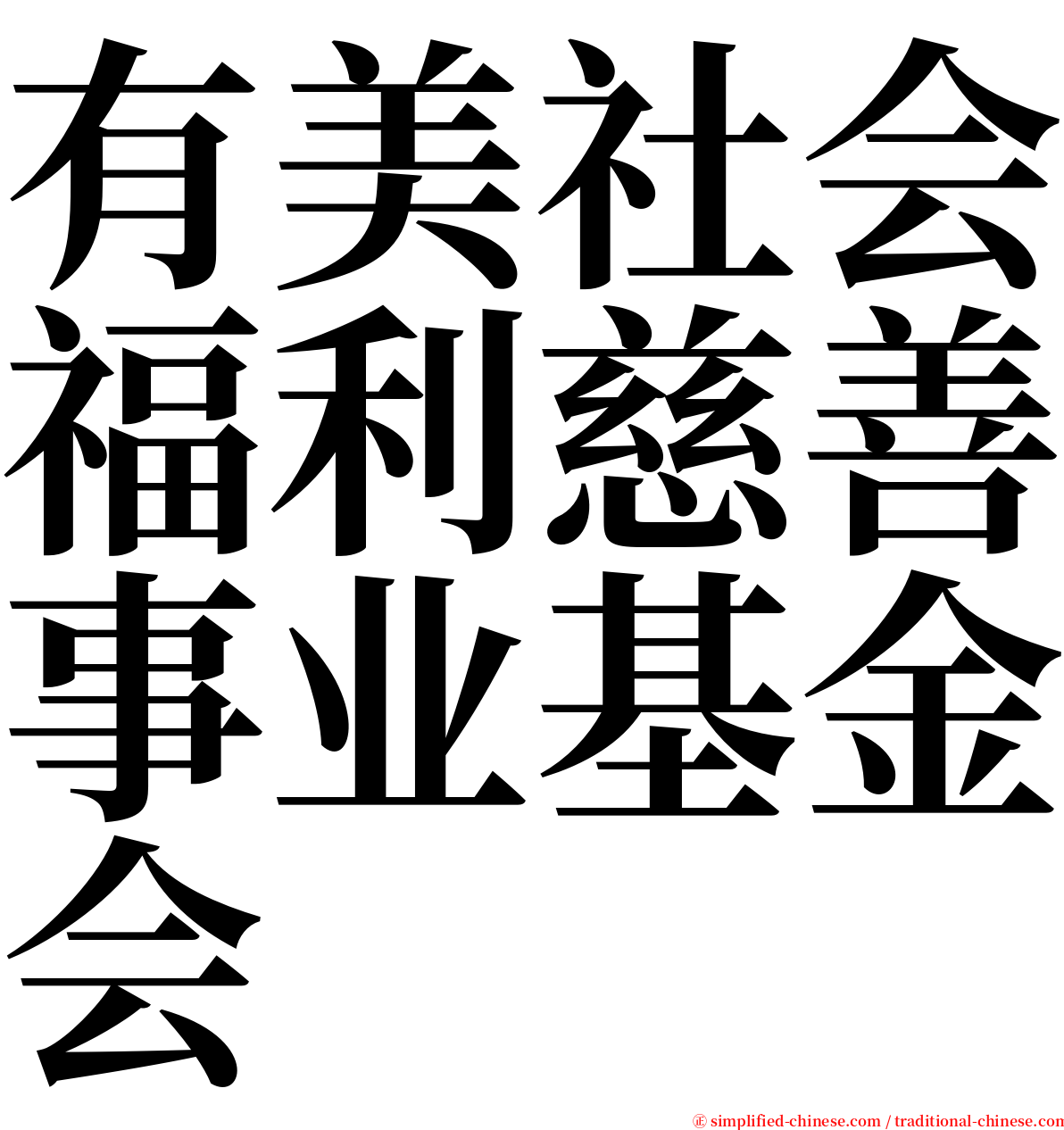 有美社会福利慈善事业基金会 serif font