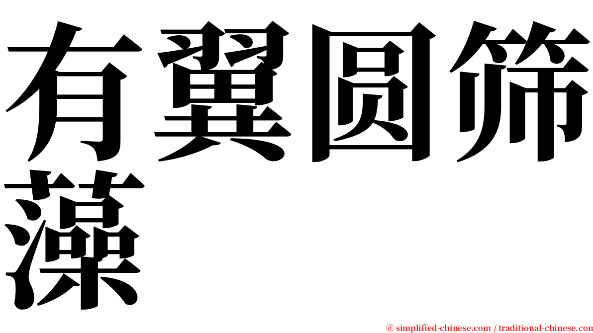 有翼圆筛藻 serif font