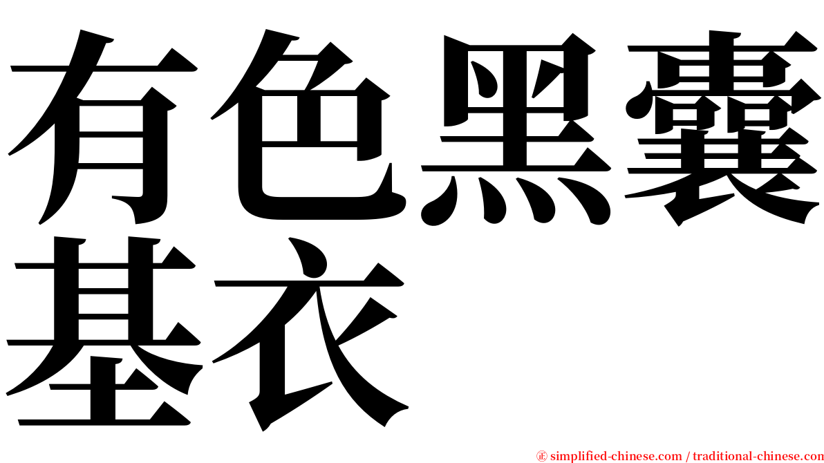 有色黑囊基衣 serif font
