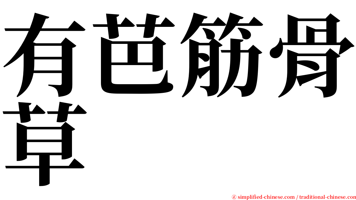 有芭筋骨草 serif font