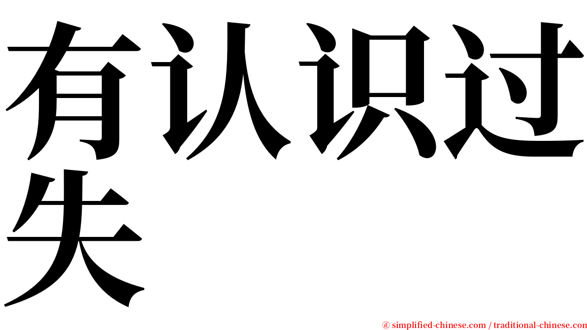 有认识过失 serif font