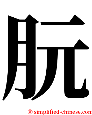朊 serif font