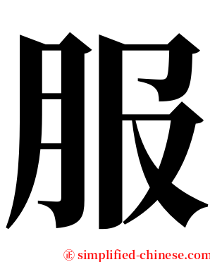 服 serif font