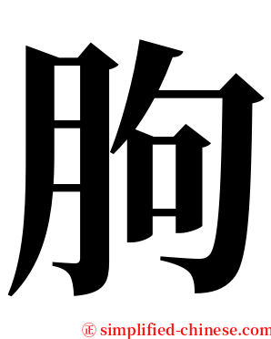 朐 serif font