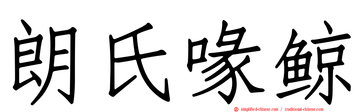 朗氏喙鲸