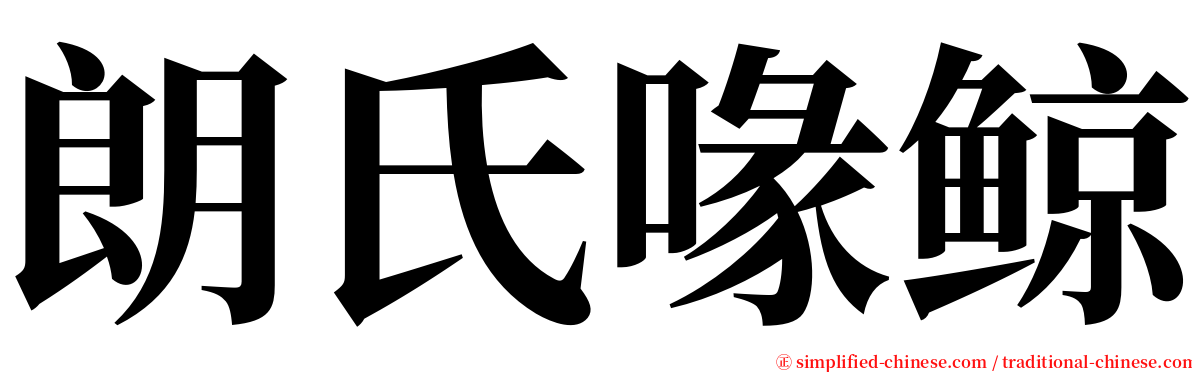 朗氏喙鲸 serif font