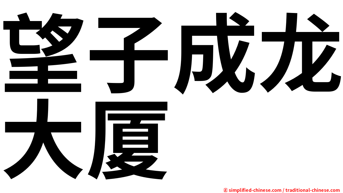望子成龙大厦