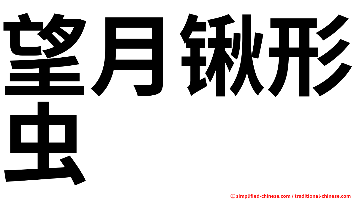 望月锹形虫