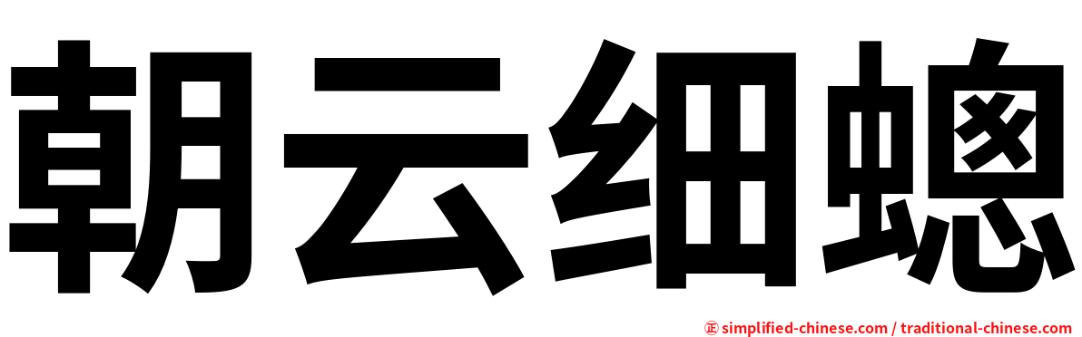 朝云细蟌