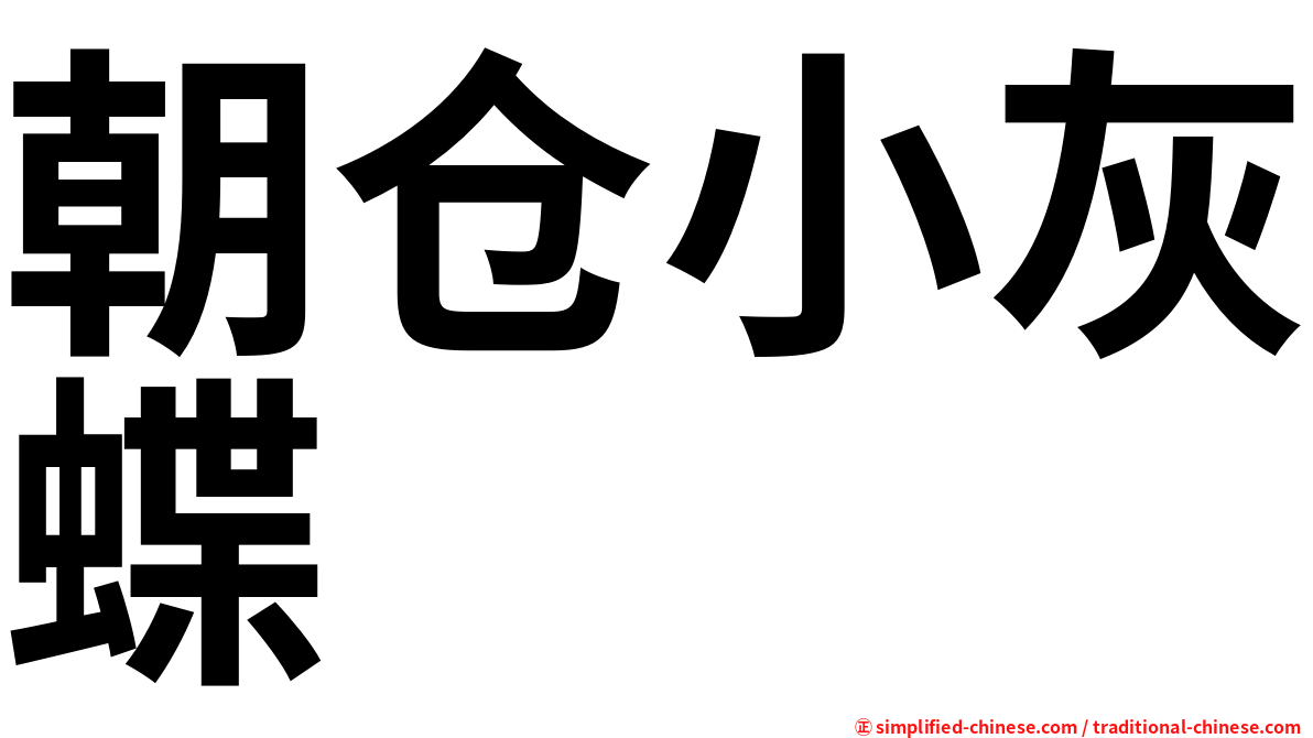 朝仓小灰蝶