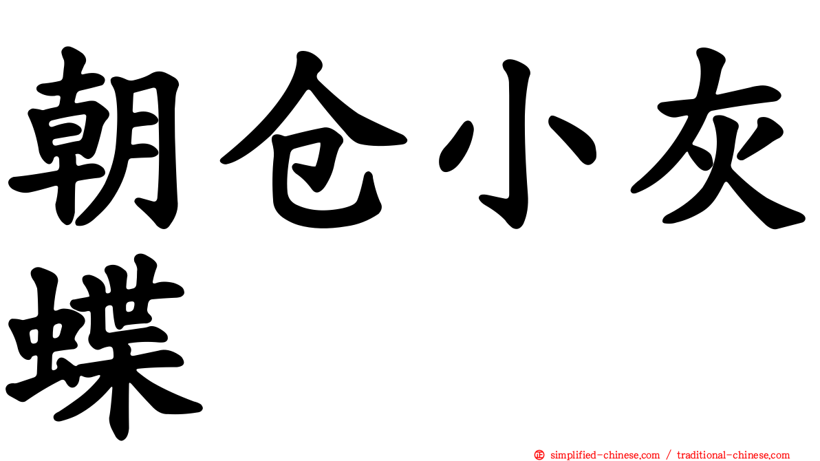 朝仓小灰蝶