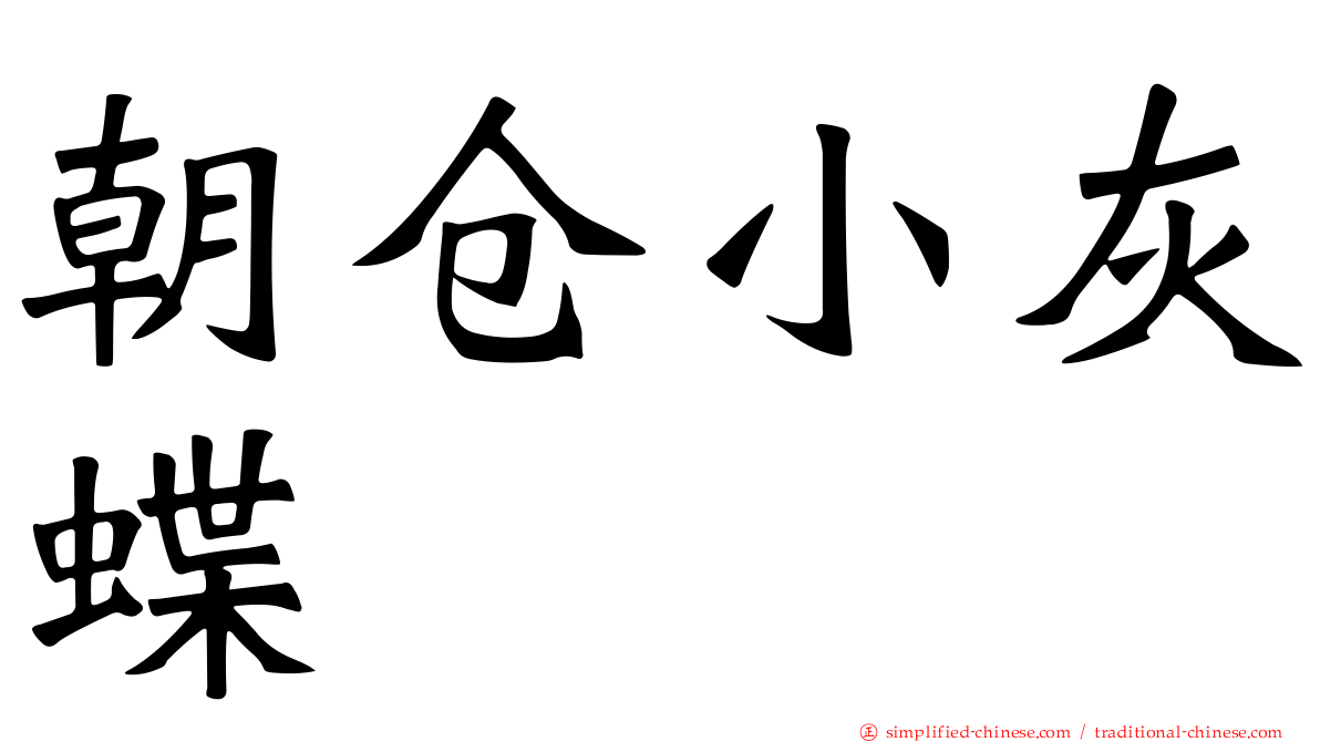 朝仓小灰蝶