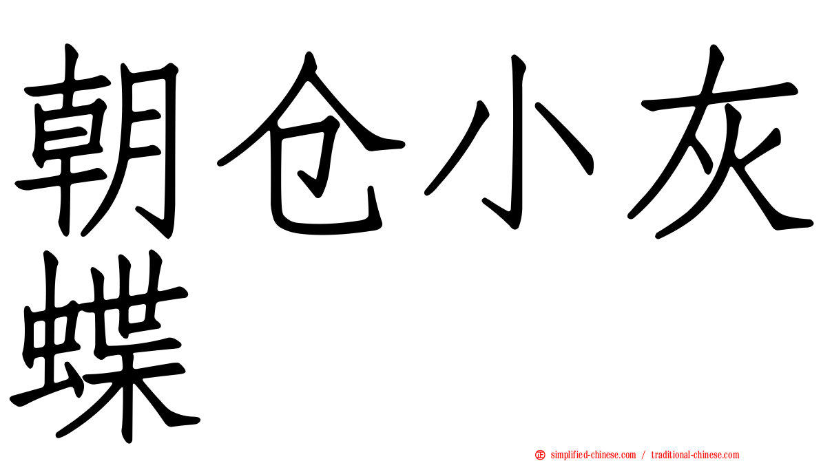 朝仓小灰蝶