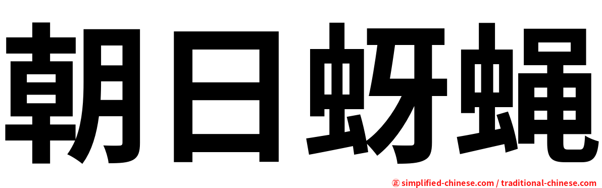 朝日蚜蝇