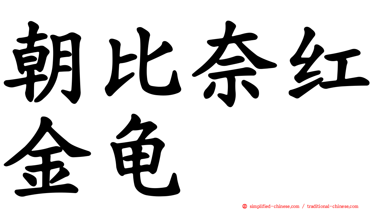 朝比奈红金龟