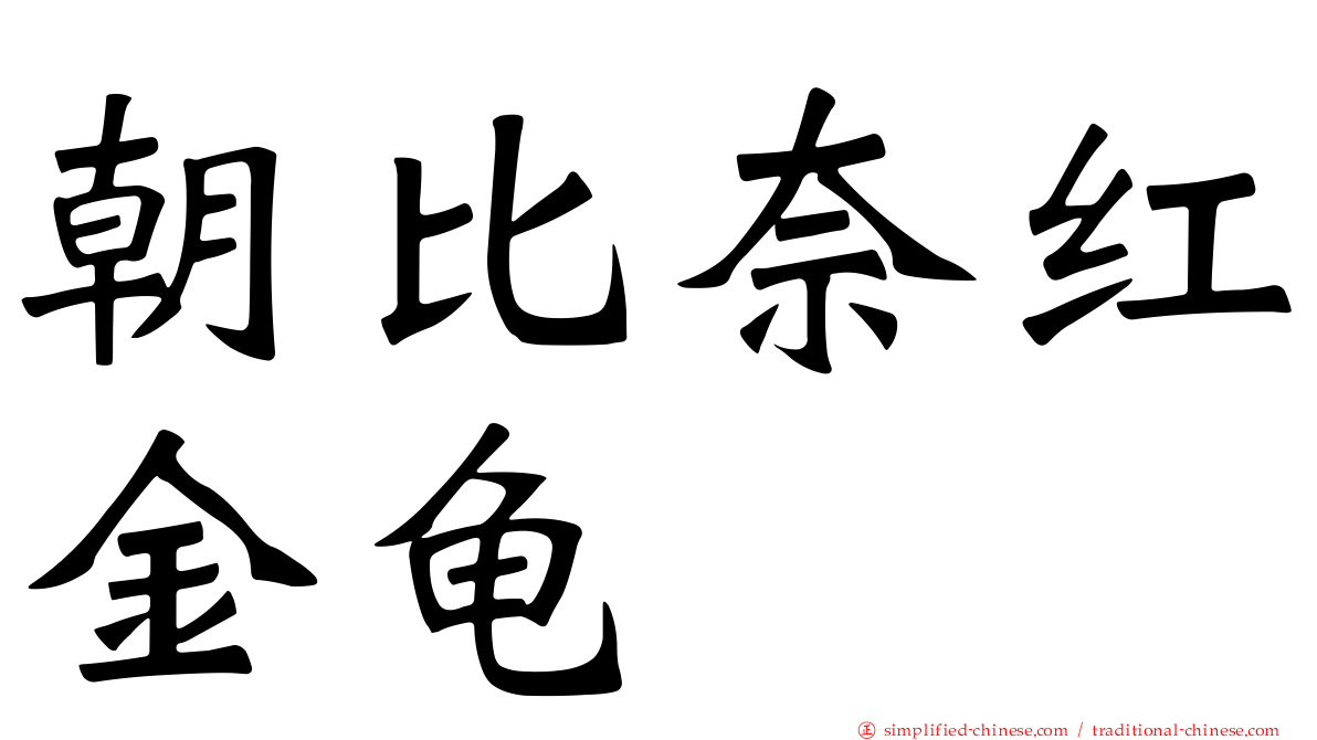 朝比奈红金龟