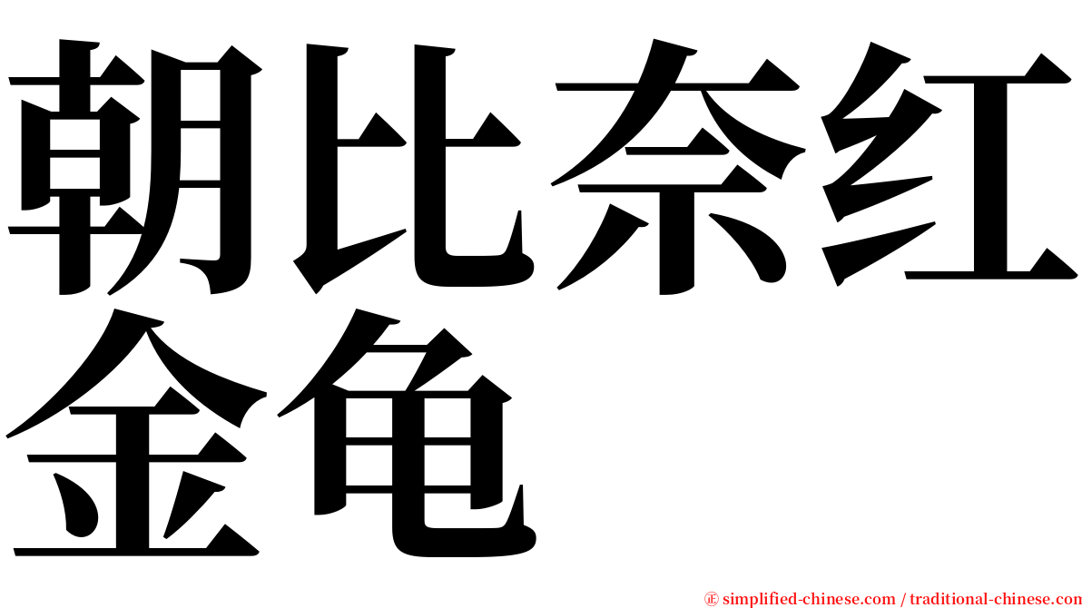 朝比奈红金龟 serif font