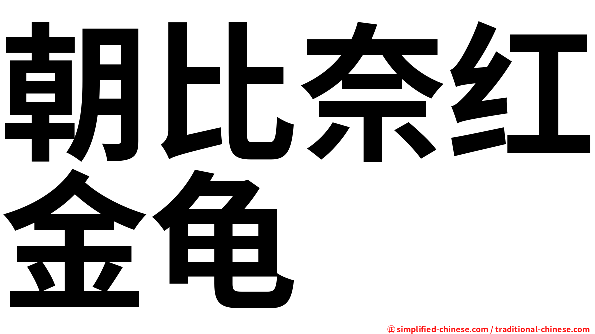 朝比奈红金龟