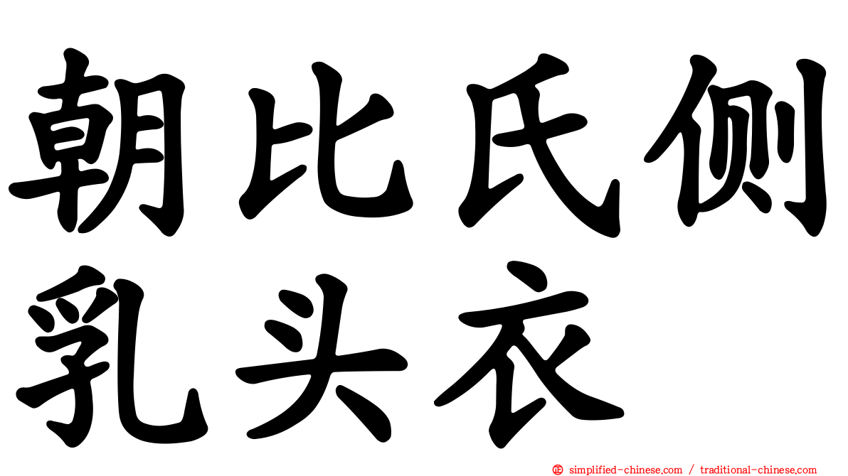朝比氏侧乳头衣