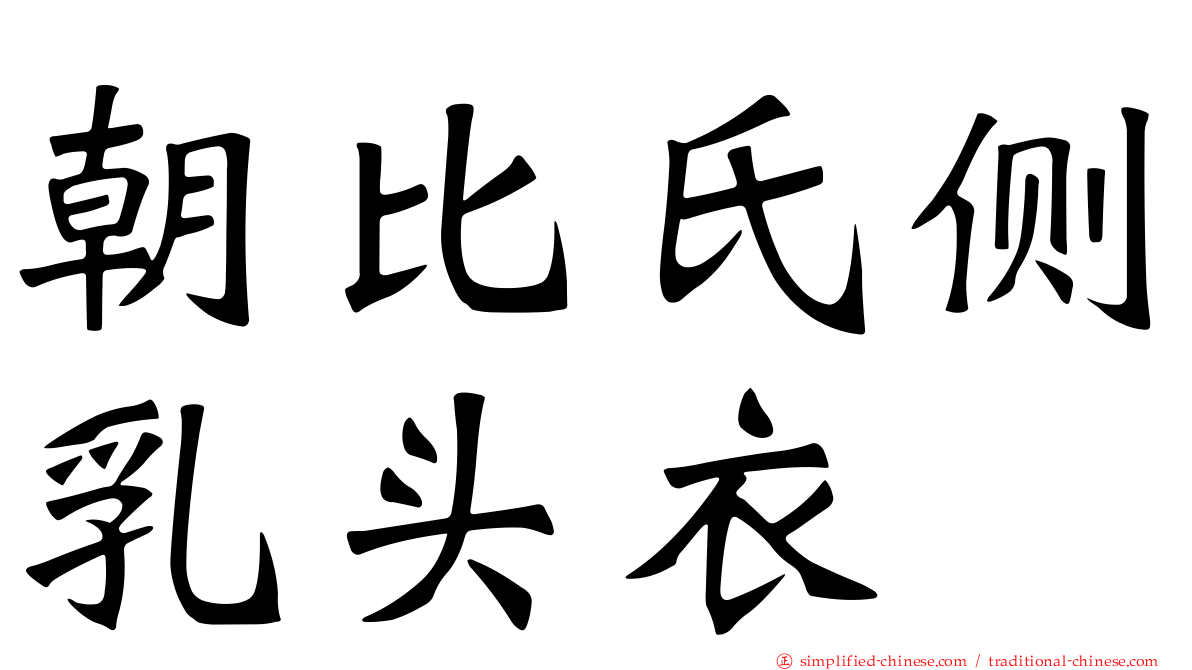 朝比氏侧乳头衣