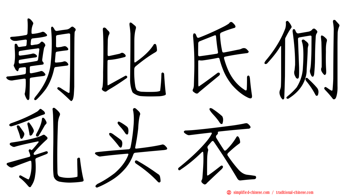 朝比氏侧乳头衣
