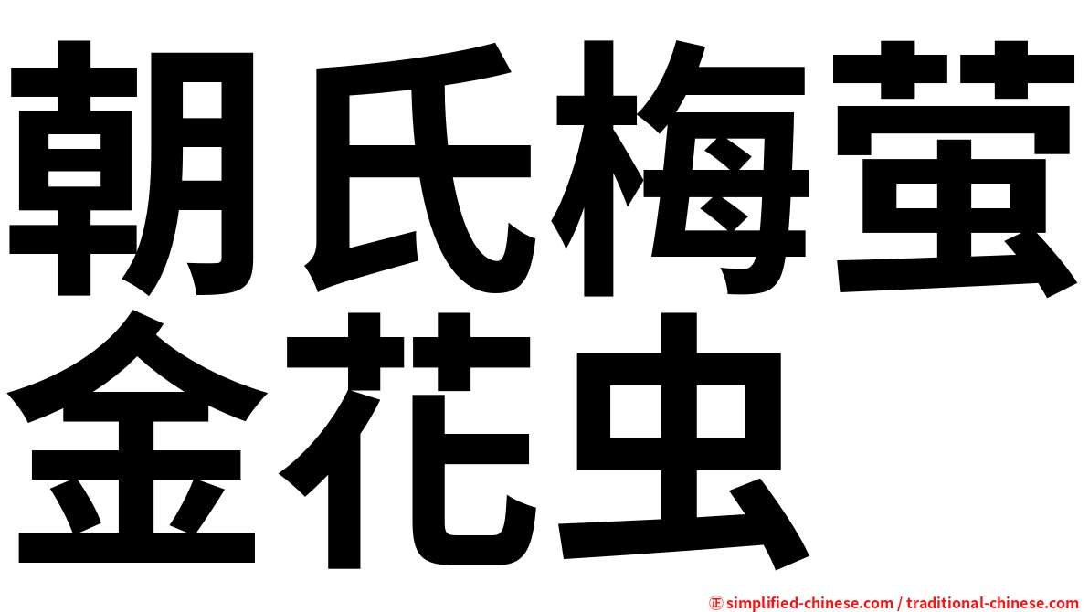 朝氏梅萤金花虫