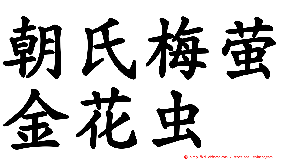 朝氏梅萤金花虫