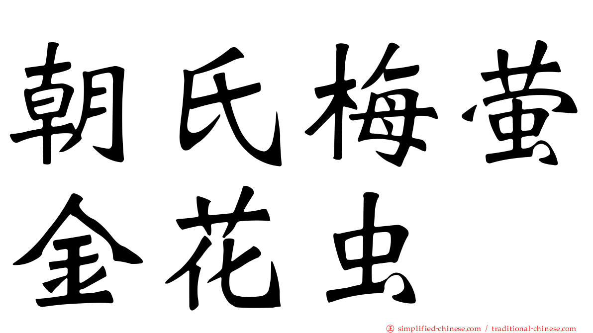 朝氏梅萤金花虫