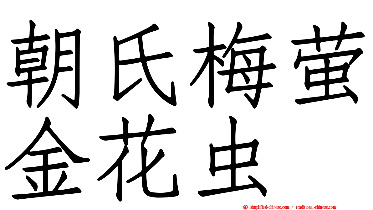 朝氏梅萤金花虫