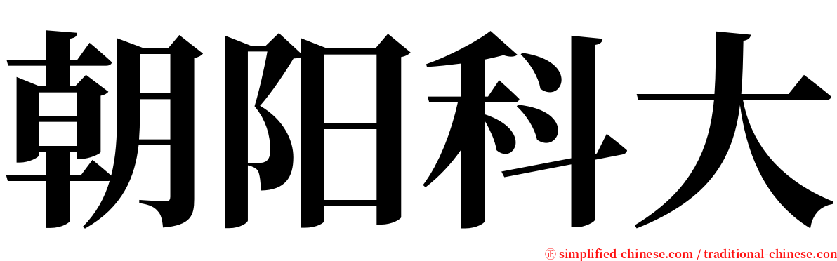 朝阳科大 serif font