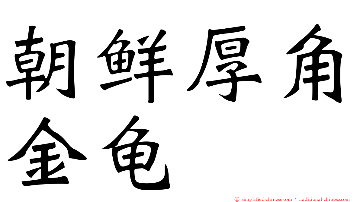 朝鲜厚角金龟