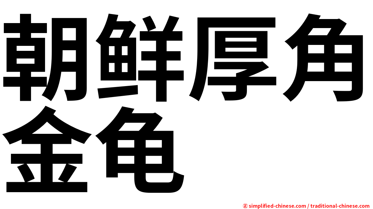 朝鲜厚角金龟