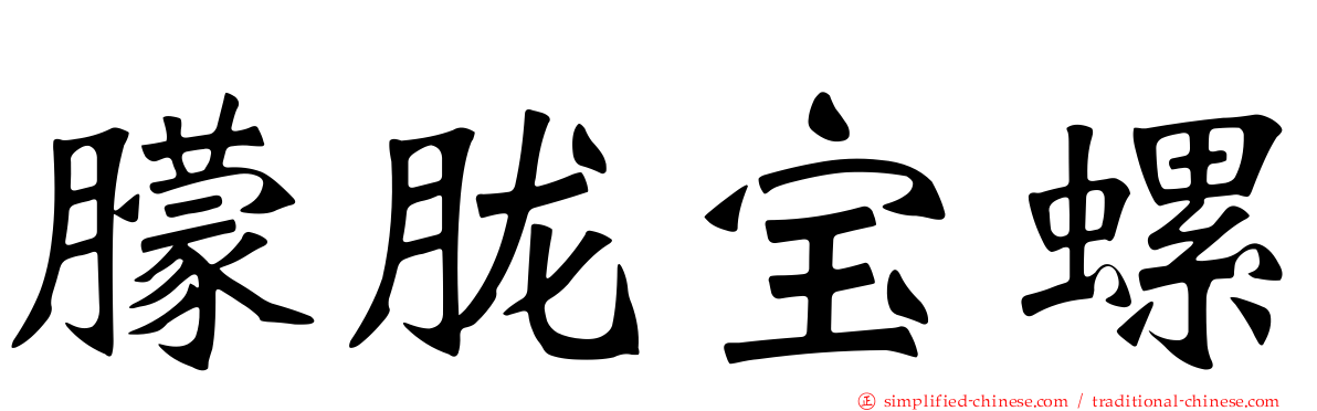 朦胧宝螺