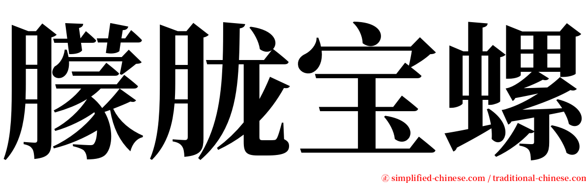 朦胧宝螺 serif font