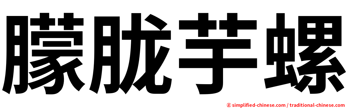 朦胧芋螺