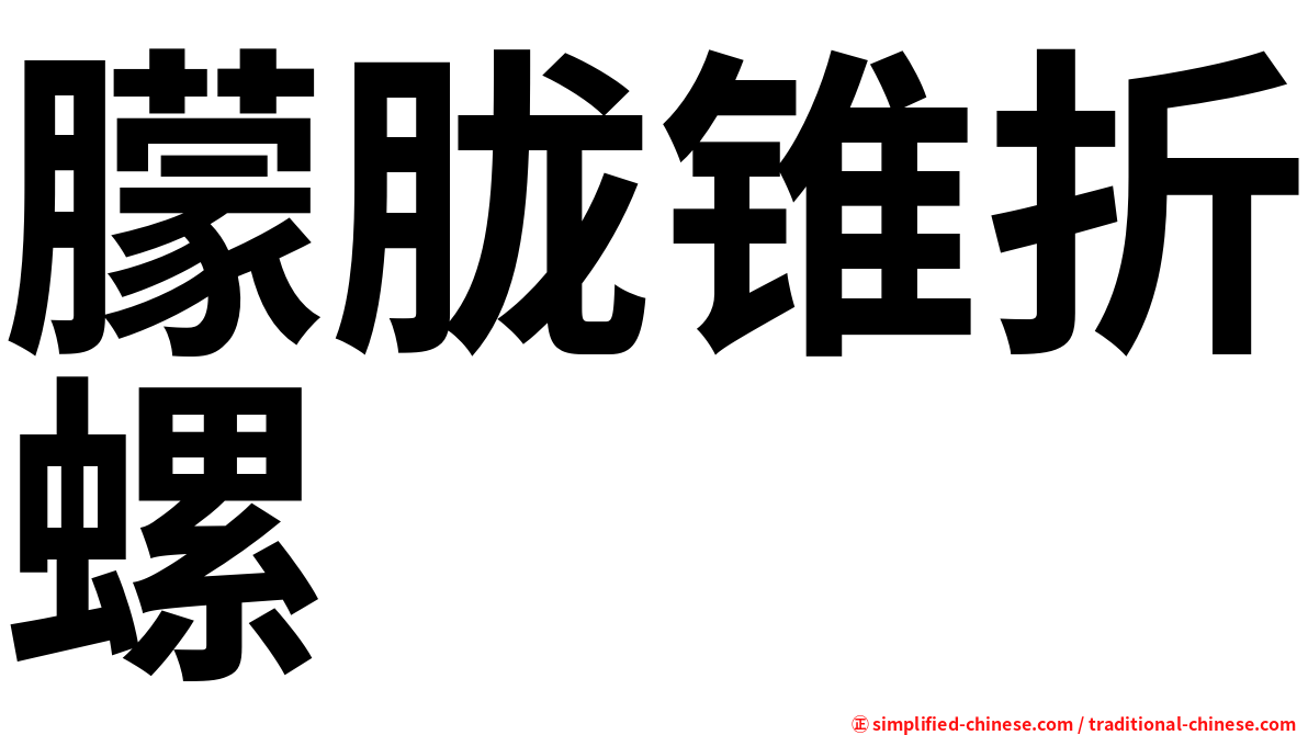 朦胧锥折螺