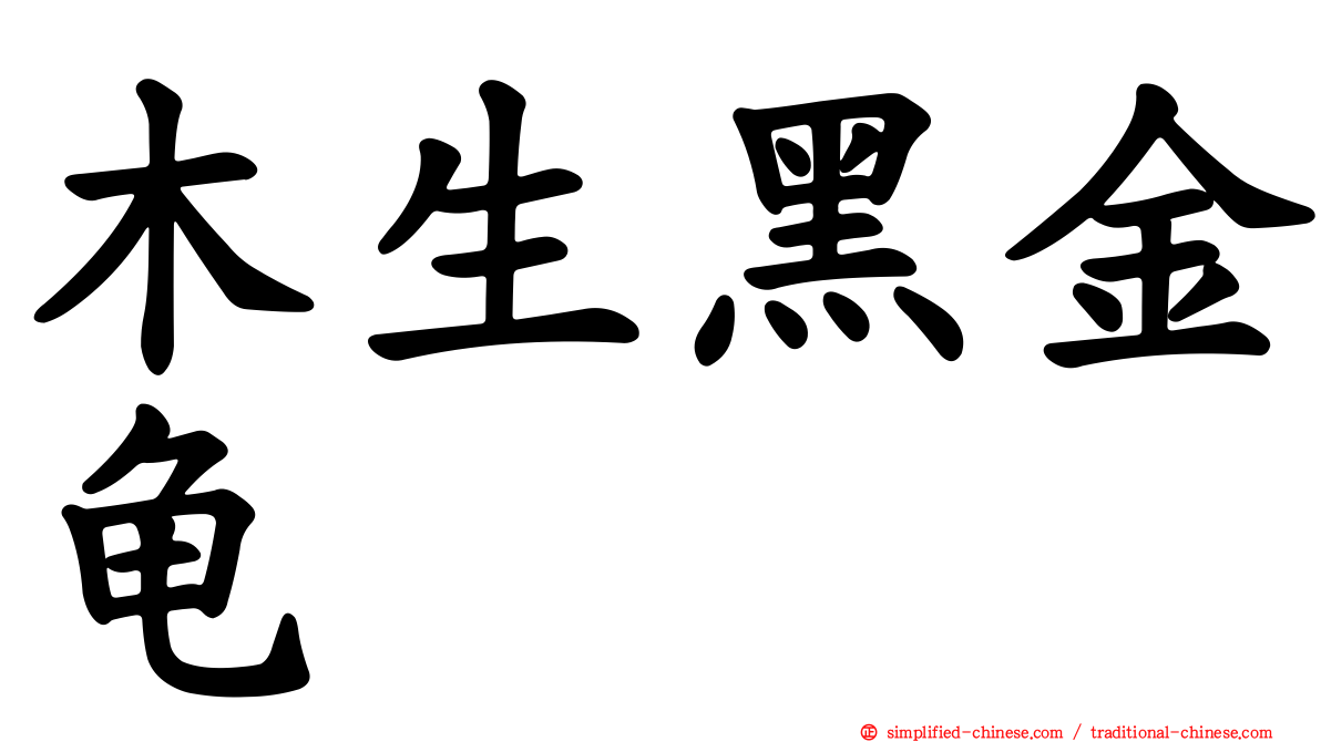 木生黑金龟
