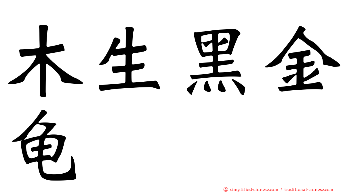 木生黑金龟