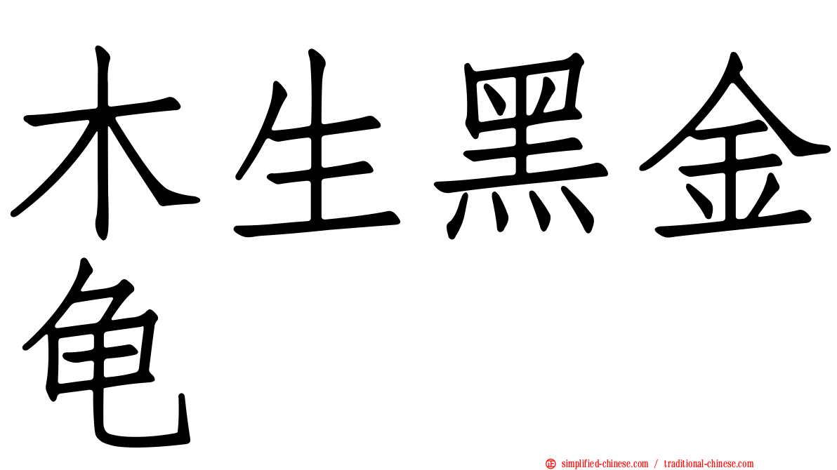 木生黑金龟