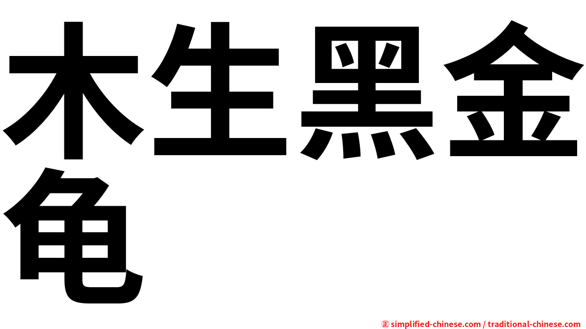 木生黑金龟
