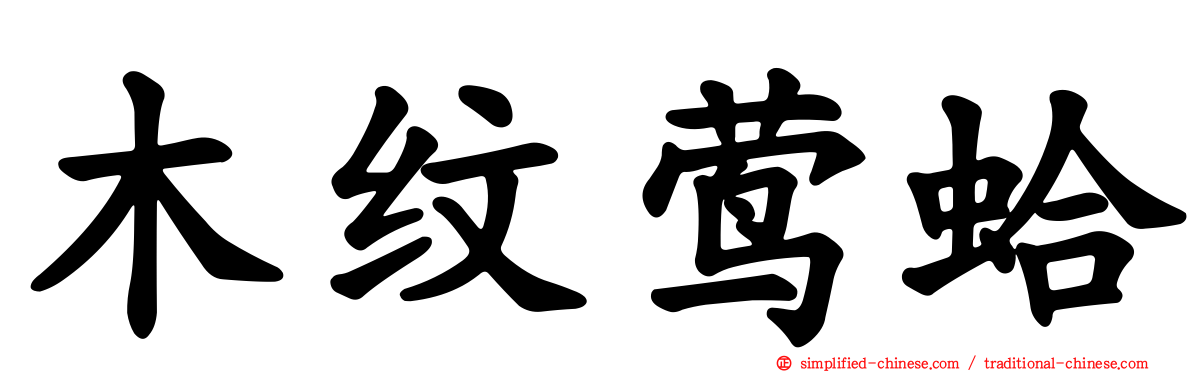 木纹莺蛤